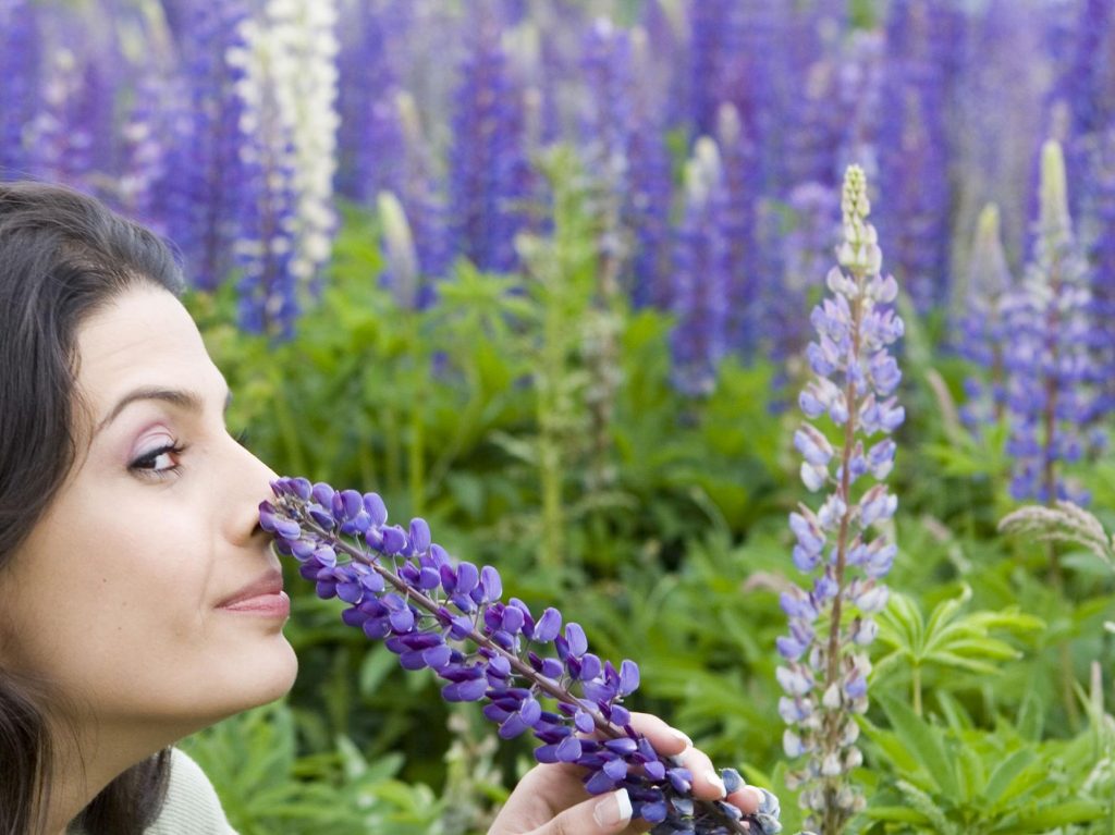 Perennial Personality