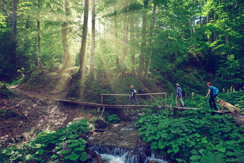 Very slow, verrrrrrrry slowwwww