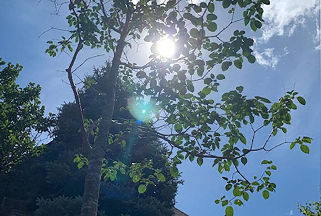 Valiant Efforts, Valiant Love