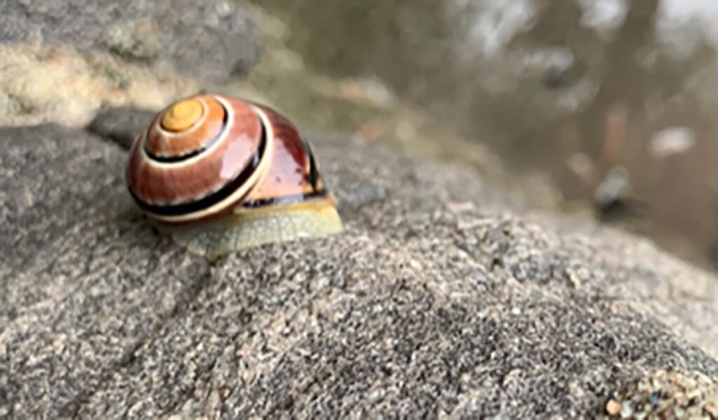 Passion is Happiness